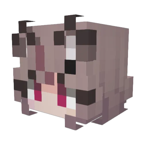 aimeebunnie Minecraft avatar head, 3D render