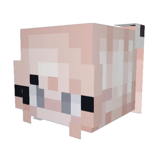 aimeechu Minecraft avatar head, 3D render