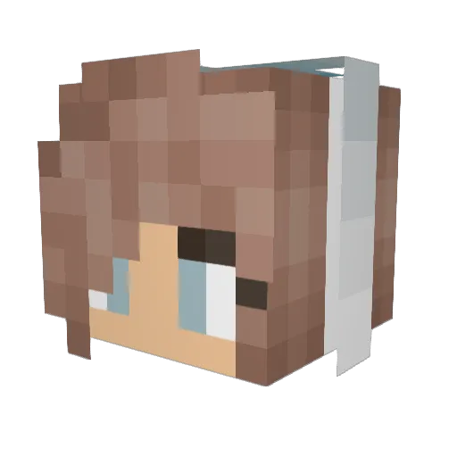 aimeeminecraft2 Minecraft avatar head, 3D render