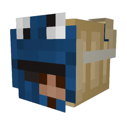 aimes55 Minecraft avatar head, 3D render