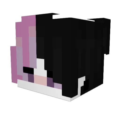 aimesvideo46 Minecraft avatar head, 3D render