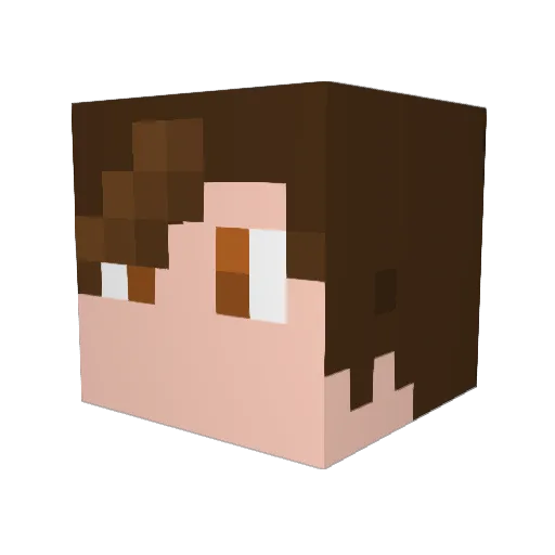 aimgobrr Minecraft avatar head, 3D render