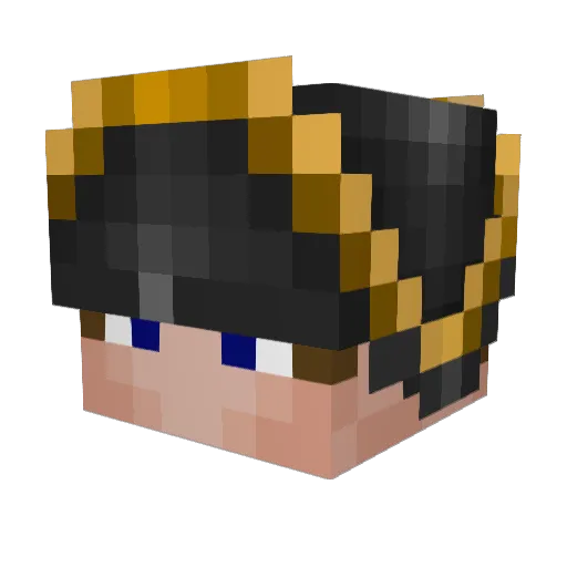 aimlesspariah Minecraft avatar head, 3D render
