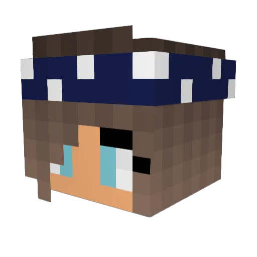 aimmeeyy Minecraft avatar head, 3D render