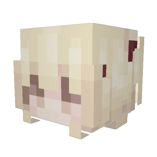 aimonojyushi_ Minecraft avatar head, 3D render
