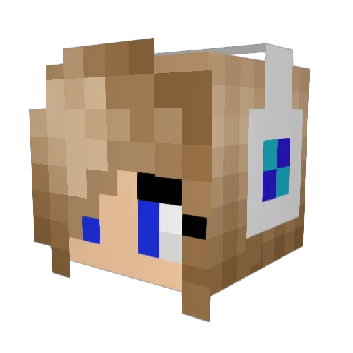 aimster1014 Minecraft avatar head, 3D render