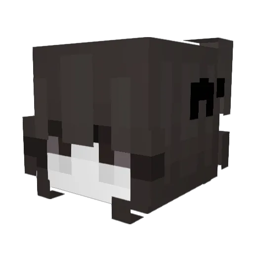 ainayyyyyy Minecraft avatar head, 3D render