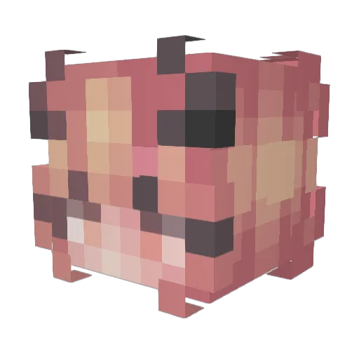 ainhoo Minecraft avatar head, 3D render