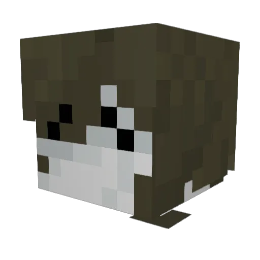 ainselmew Minecraft avatar head, 3D render