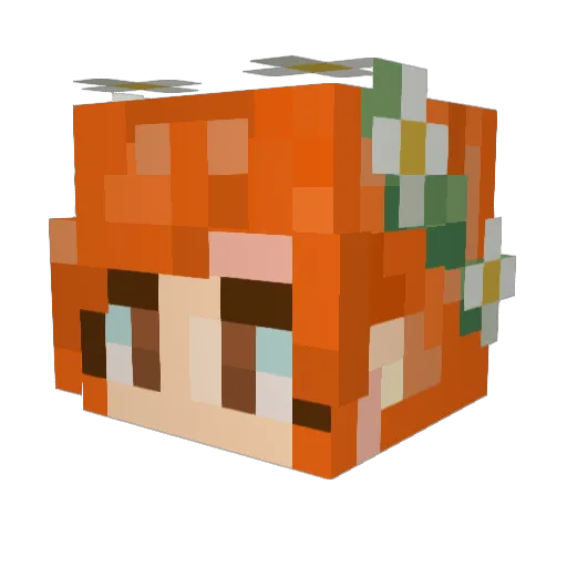 ainsplains Minecraft avatar head, 3D render
