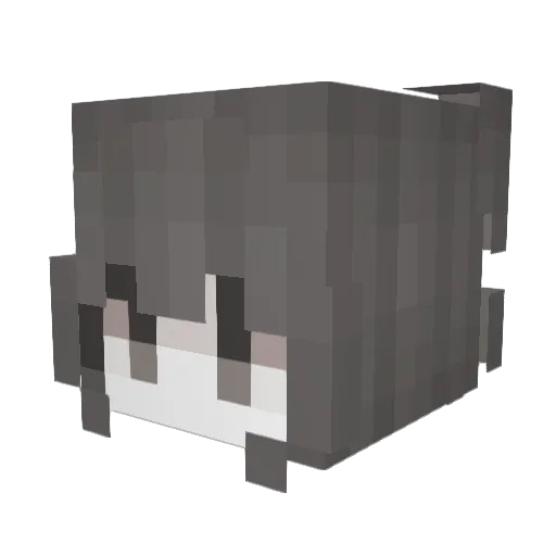 ainyf Minecraft avatar head, 3D render