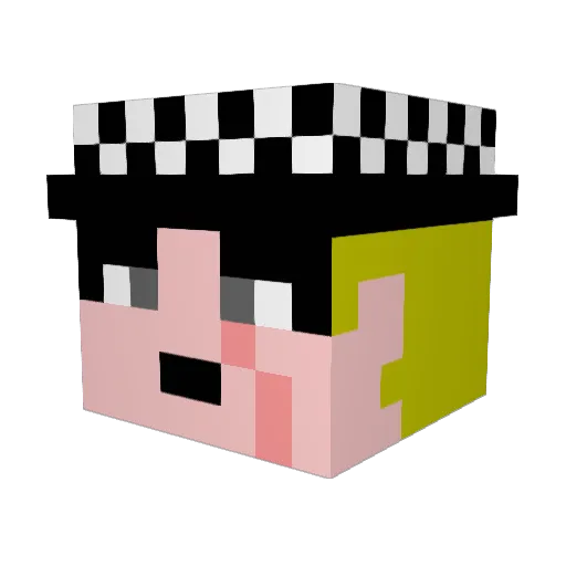 aio_848 Minecraft avatar head, 3D render