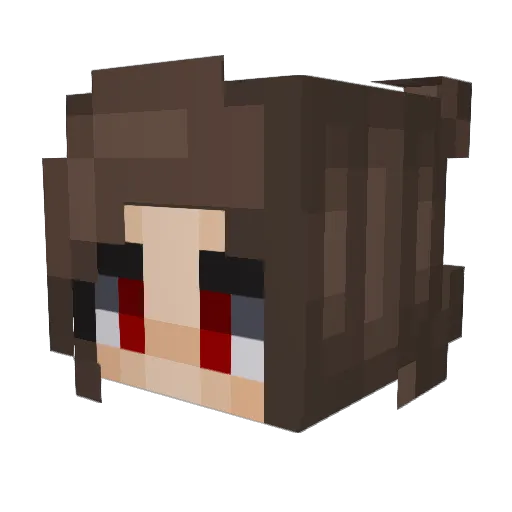 aio_aa Minecraft avatar head, 3D render