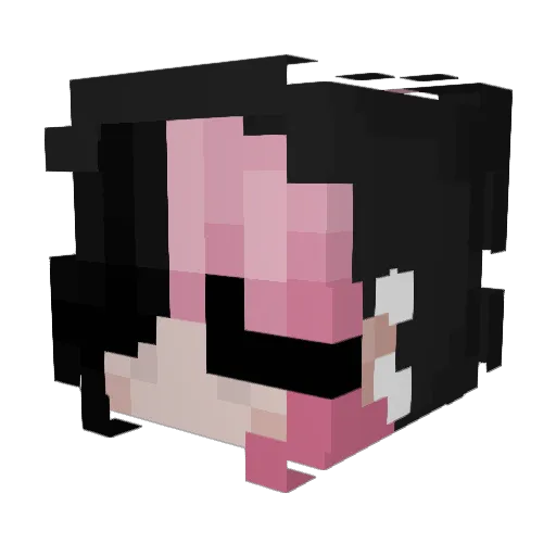 aioaio_ Minecraft avatar head, 3D render