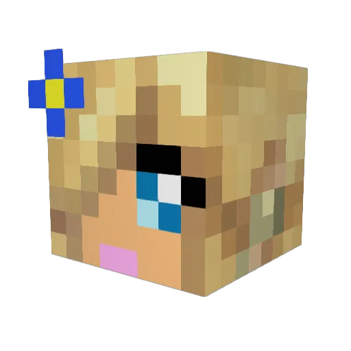 airassault6969 Minecraft avatar head, 3D render