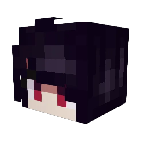 airborne_yoshi Minecraft avatar head, 3D render