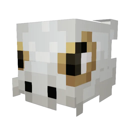 aircraft007 Minecraft avatar head, 3D render