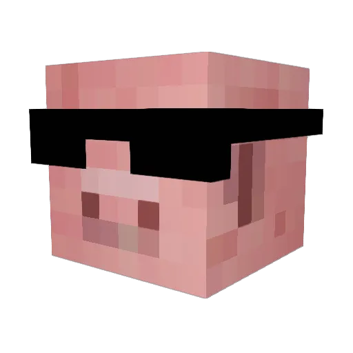 aircraft2004 Minecraft avatar head, 3D render