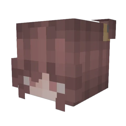 airdnis Minecraft avatar head, 3D render