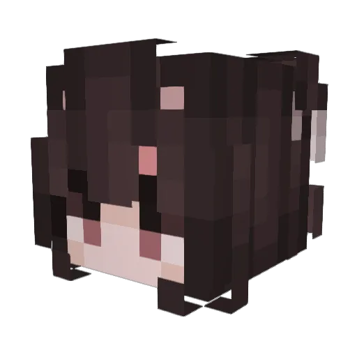 airetsee Minecraft avatar head, 3D render