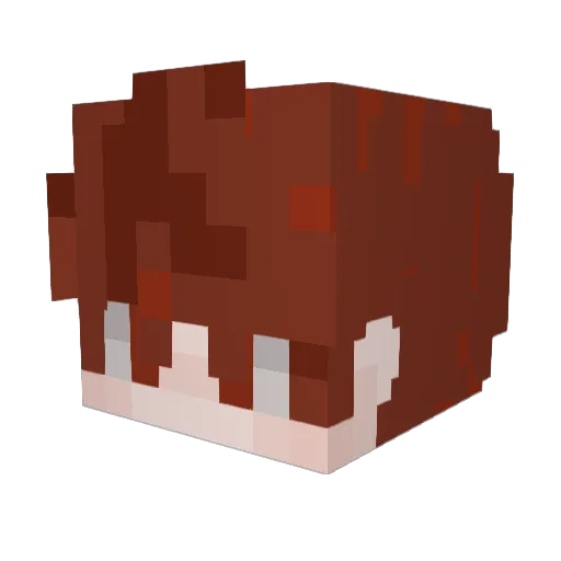 airforce8338 Minecraft avatar head, 3D render