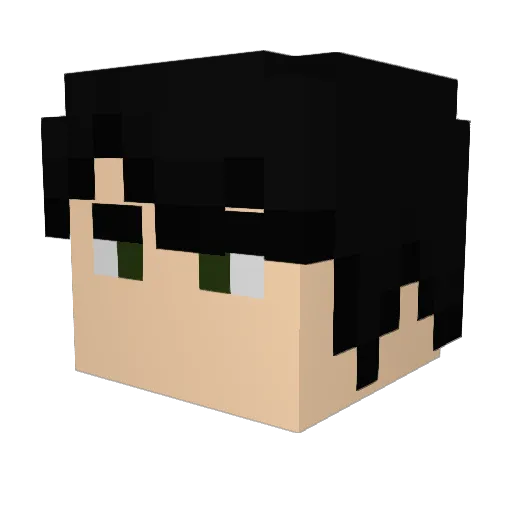 airman0007 Minecraft avatar head, 3D render