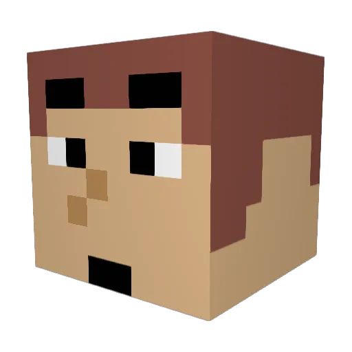airplane12 Minecraft avatar head, 3D render