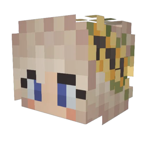 airpnb Minecraft avatar head, 3D render