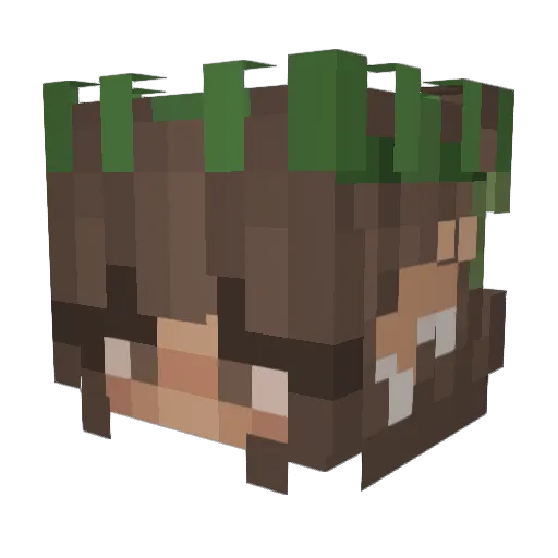 airwrecka04 Minecraft avatar head, 3D render