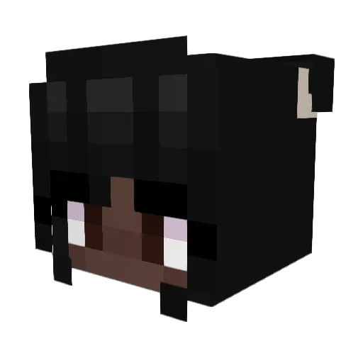 airwreckaXD Minecraft avatar head, 3D render