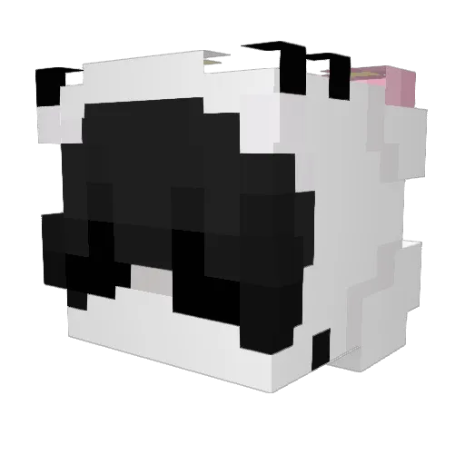 aisha1234 Minecraft avatar head, 3D render