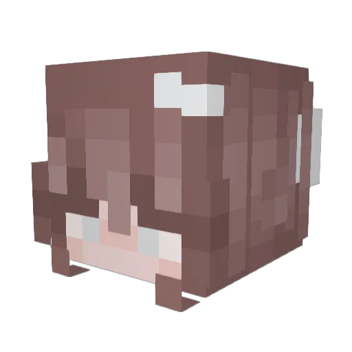 aisiniang Minecraft avatar head, 3D render