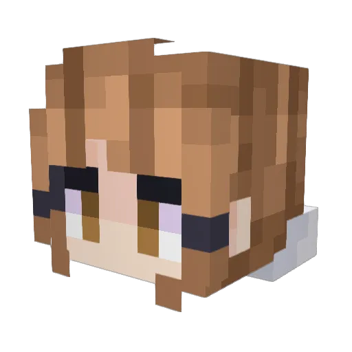 aisleypaisley Minecraft avatar head, 3D render