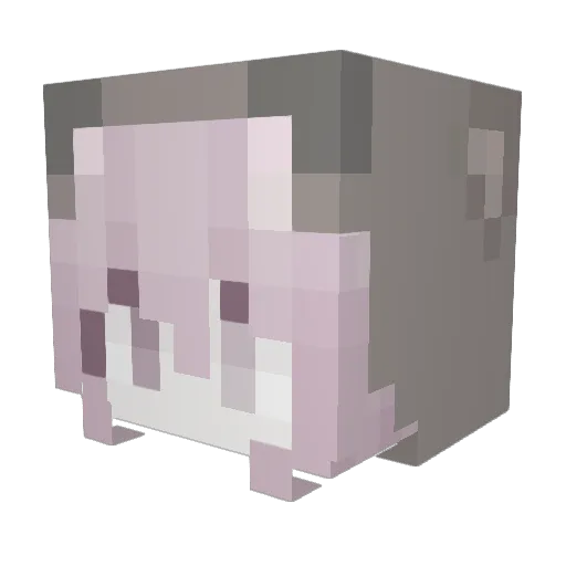 aislut Minecraft avatar head, 3D render