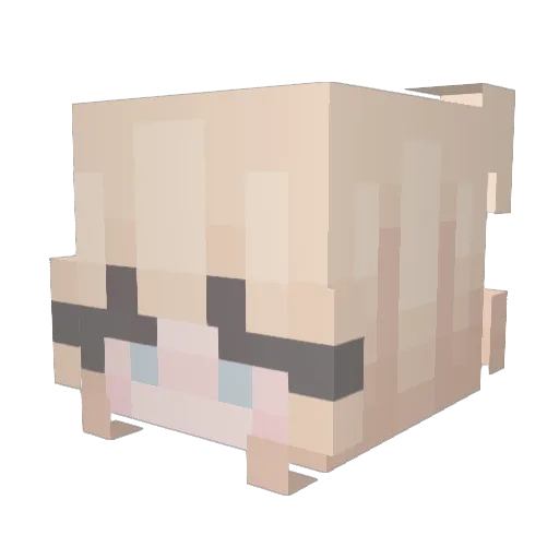 aisn12 Minecraft avatar head, 3D render