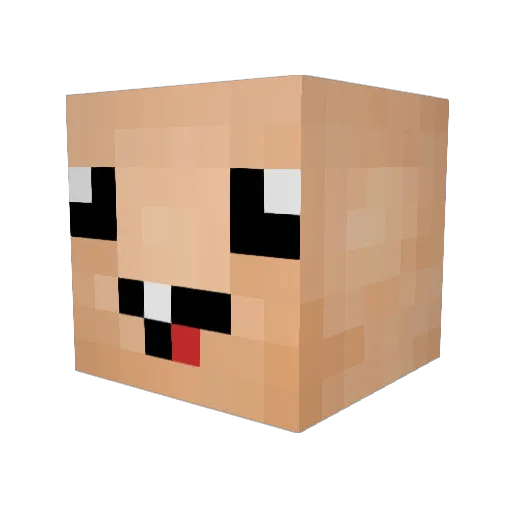 aitann Minecraft avatar head, 3D render