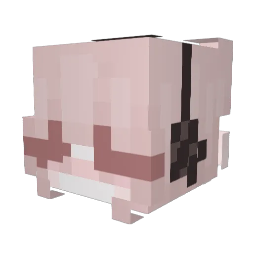 aitne8002 Minecraft avatar head, 3D render