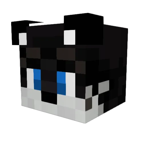 aitorr Minecraft avatar head, 3D render