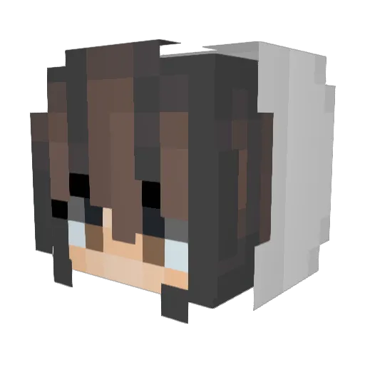 aiueo700 Minecraft avatar head, 3D render