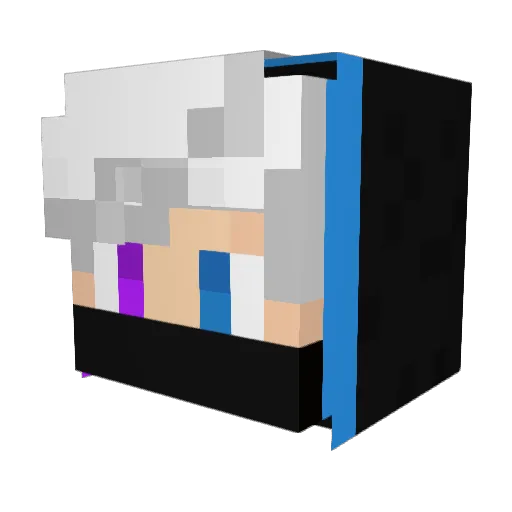 aiueotrgf Minecraft avatar head, 3D render