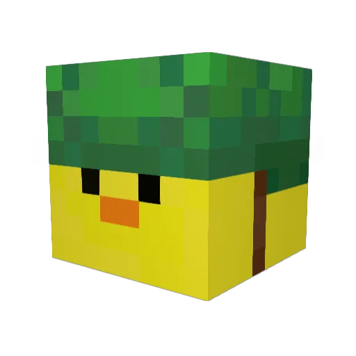aiydxn Minecraft avatar head, 3D render