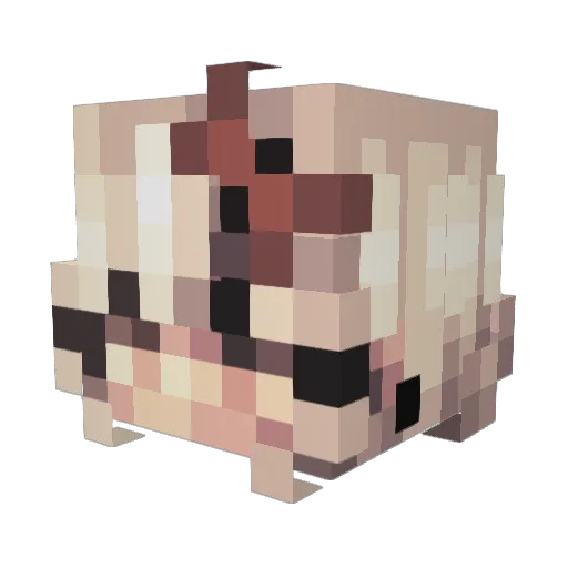 aj0nes23 Minecraft avatar head, 3D render
