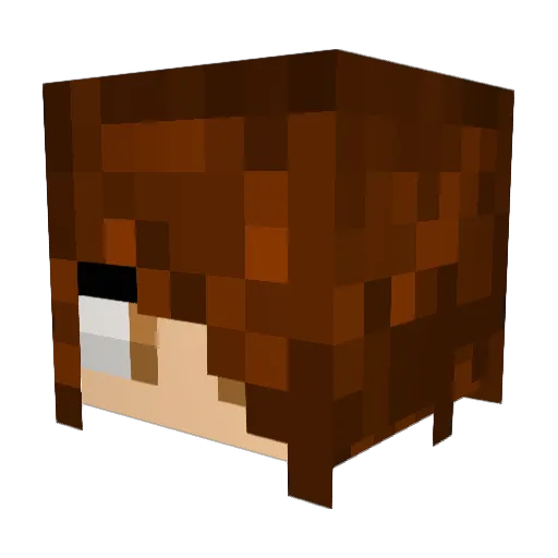 aj10233 Minecraft avatar head, 3D render