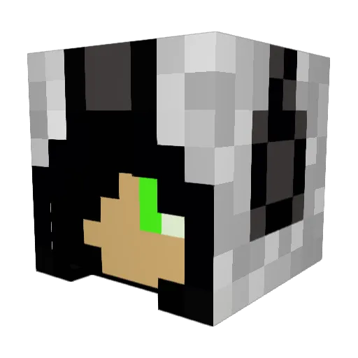 ajaaja0624 Minecraft avatar head, 3D render