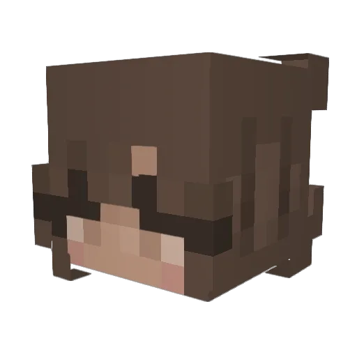 ajar1248 Minecraft avatar head, 3D render
