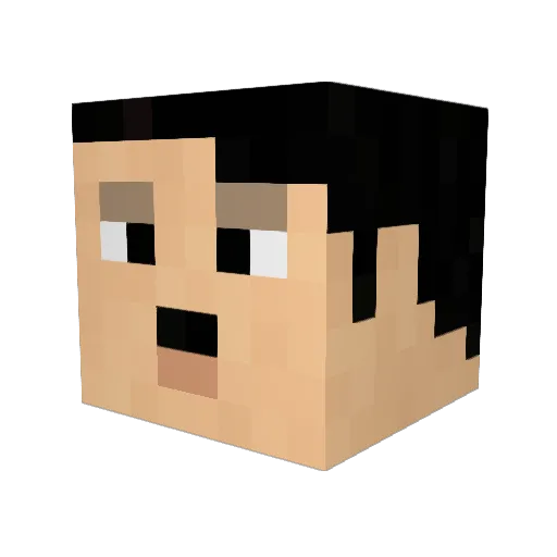 ajc0506 Minecraft avatar head, 3D render