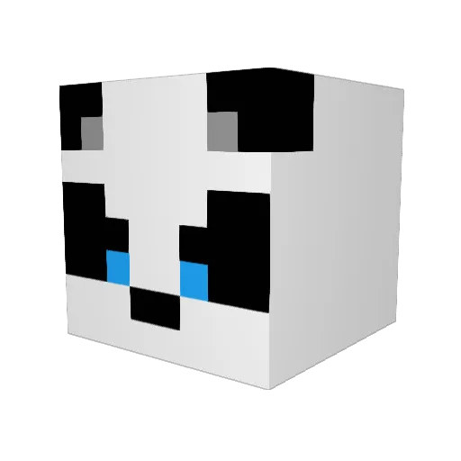ajclon Minecraft avatar head, 3D render