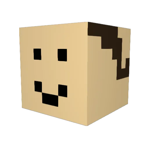 ajj2 Minecraft avatar head, 3D render