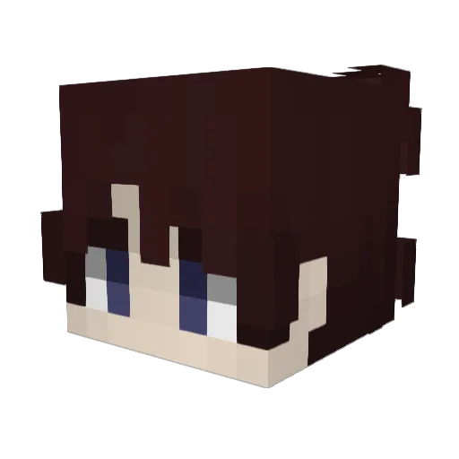 ajjjja Minecraft avatar head, 3D render