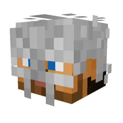 ajpeter905 Minecraft avatar head, 3D render